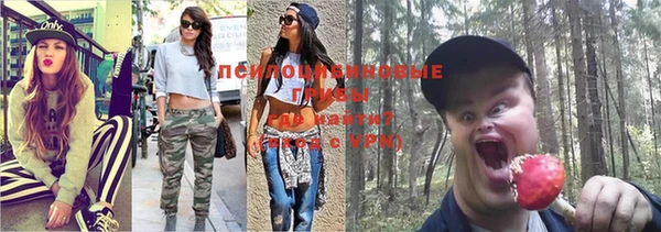 гидропоника Каменск-Шахтинский
