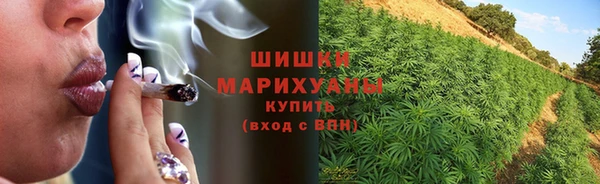 гидропоника Каменск-Шахтинский