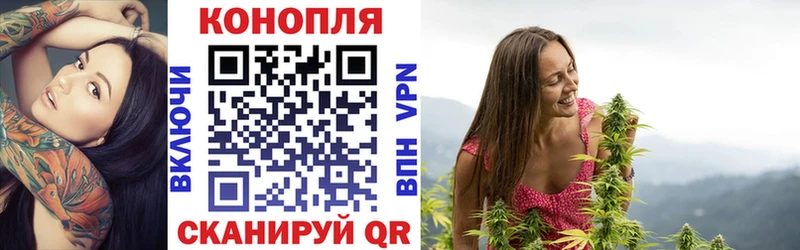Шишки марихуана SATIVA & INDICA  Купить закладки  Ессентуки 